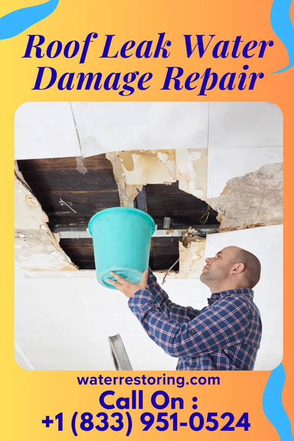 Roof Leak Water Damage Repair in West Brooklyn, IL